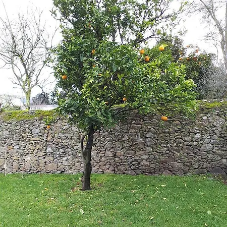 Lapa Vintage بيت ضيافة فيلا دو كوندي